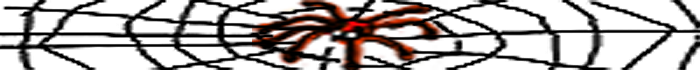 <img:stuff/myspiderSest%20wweb.png>