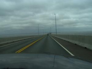 <img300*0:stuff/n522020483_1074615_5528.jpg>