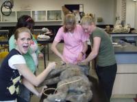 <img200*0:stuff/n599416367_113404_366.jpg>
