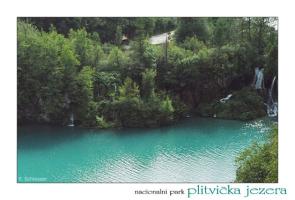 <img295*0:stuff/nacionalni%20park2.jpg>