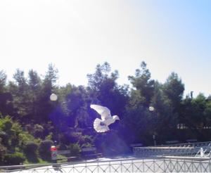 <img300*0:stuff/nameless.jpg>