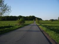 <img200*0:stuff/natur%20005_.JPG>