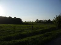 <img200*0:stuff/natur%20010_.JPG>
