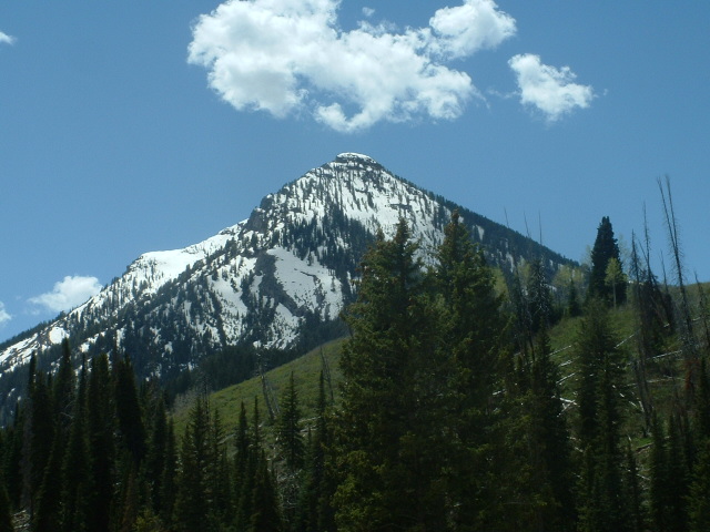 <img:stuff/natures_splendor.jpg>