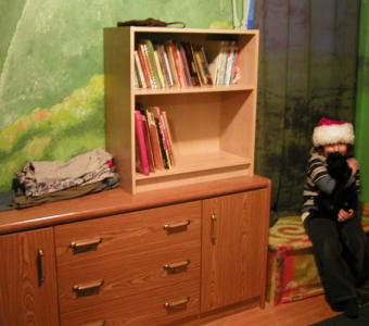 <img0*300:stuff/new%20bookcase%201.jpg>