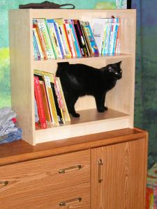 <img0*300:stuff/new%20bookcase%202.jpg>
