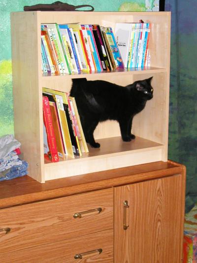 <img400*0:stuff/new%20bookcase%202.jpg>