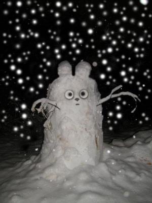 <img300*0:stuff/new%20s%203.jpg>