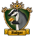 <img:stuff/newbadgerfin.gif>