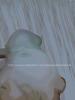 <img0*100:stuff/nude_artistic_abstract.jpg>