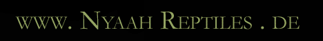<img:stuff/nyaahreptiles_banner_albino.gif>
