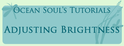 <img:stuff/oc_tutorials_banner_adjustingbrightness%20copy.gif>
