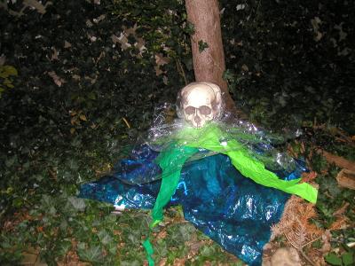 <img0*300:stuff/ooooze%20protype2.JPG>