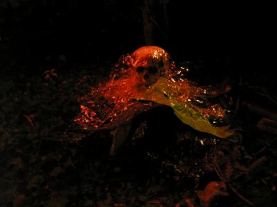 <img0*300:stuff/ooooze%20protype2b.JPG>