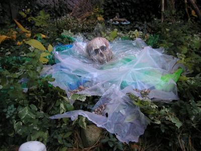 <img400*0:stuff/ooooze%20protype3.JPG>