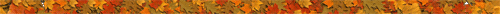 <img:stuff/orangeleavesjitdiv.gif>