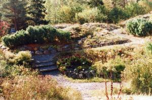 <img300*0:stuff/oulubotanicalgarden.jpg>