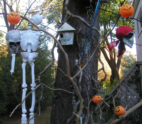 <img500*0:stuff/our%20hangin%20tree.jpg>