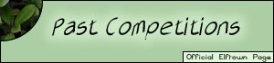 <img:/stuff/pastcompetitions.jpg>