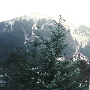 <img300*0:stuff/photocontest2.jpg>
