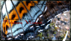 <img:stuff/photofoliowinner4.png>