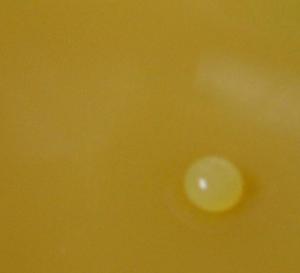 <img300*0:stuff/picture%20simple%20week%2010.jpg>