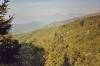 <img100*0:http://elftown.heddate.com/stuff/piemonte2-2.JPG.jpg>