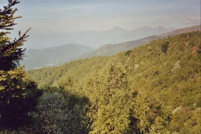 <img400*0:http://elftown.heddate.com/stuff/piemonte2-2.JPG.jpg>