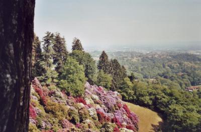 <img400*0:http://elftown.heddate.com/stuff/piemonte3-2.JPG.jpg>