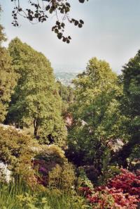 <img200*0:http://elftown.heddate.com/stuff/piemonte4-2.JPG.jpg>