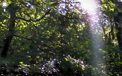 <img:stuff/pillaroflight558.jpg>
