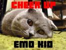 <img0*100:stuff/pillowcheerup.jpg>