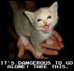 <img0*100:stuff/pillowdangercat.jpg>
