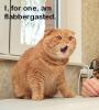 <img0*100:stuff/pillowflabbergasted.jpg>