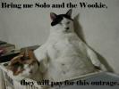<img0*100:stuff/pillowhuttcat.jpg>