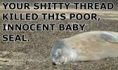 <img0*100:stuff/pillowkilledseal.jpg>