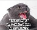 <img0*100:stuff/pillownonicethings.jpg>