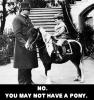 <img0*100:stuff/pillownopony.jpg>