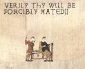 <img0*100:stuff/pillowrapage.jpg>