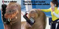 <img0*100:stuff/pillowtalkin.jpg>