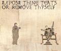 <img0*100:stuff/pillowtitsorgtfo.jpg>