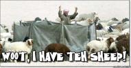 <img0*100:stuff/pillowwootsheep.jpg>