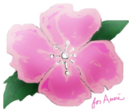 <img500*433:stuff/pinkblossom.jpg>