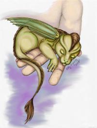 <img200*0:stuff/pocketdragoncd.jpg>
