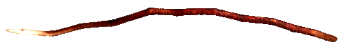 <img:stuff/pointy%20stick.gif>