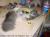 Click to enlarge <img50*0:stuff/poppysink2.jpg>