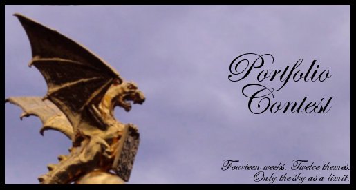 <img:stuff/portfoliocontestnewbanner.jpg>