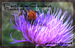 <img:stuff/portfolioround4.png>