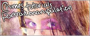 CT: Portrait Manipulation