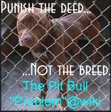 <img:http://elftown.heddate.com/stuff/punish_deed_not_breed.jpg>